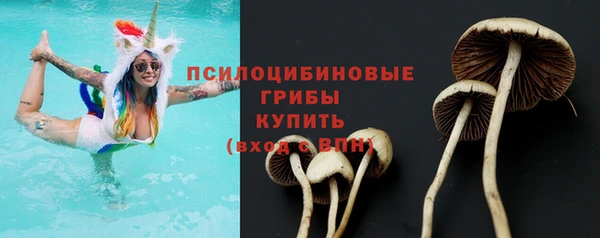 мяу мяу мука Абдулино