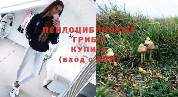 дмт Алексин