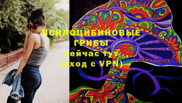 гашик Абинск