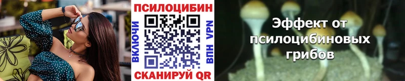 Галлюциногенные грибы Psilocybe  как найти наркотики  Ивантеевка 